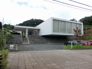 CIMG2122 (2500x1875) (2000x1500).jpg